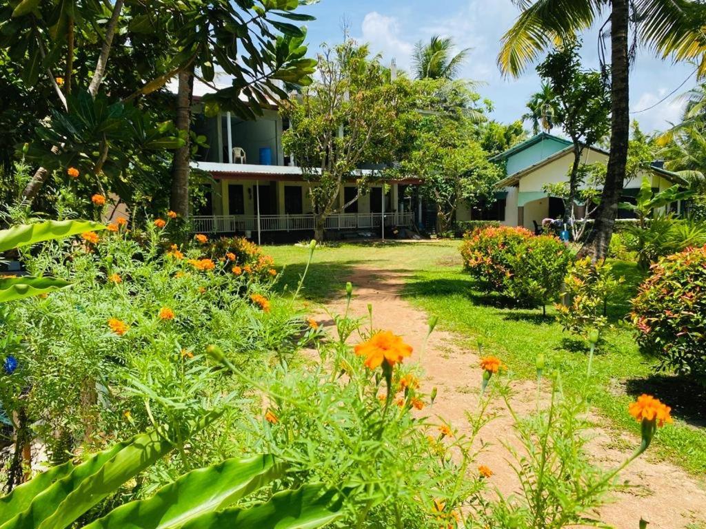 Hotel Coconut Grove - Midigama East Exterior foto