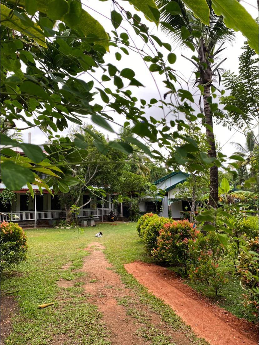 Hotel Coconut Grove - Midigama East Exterior foto