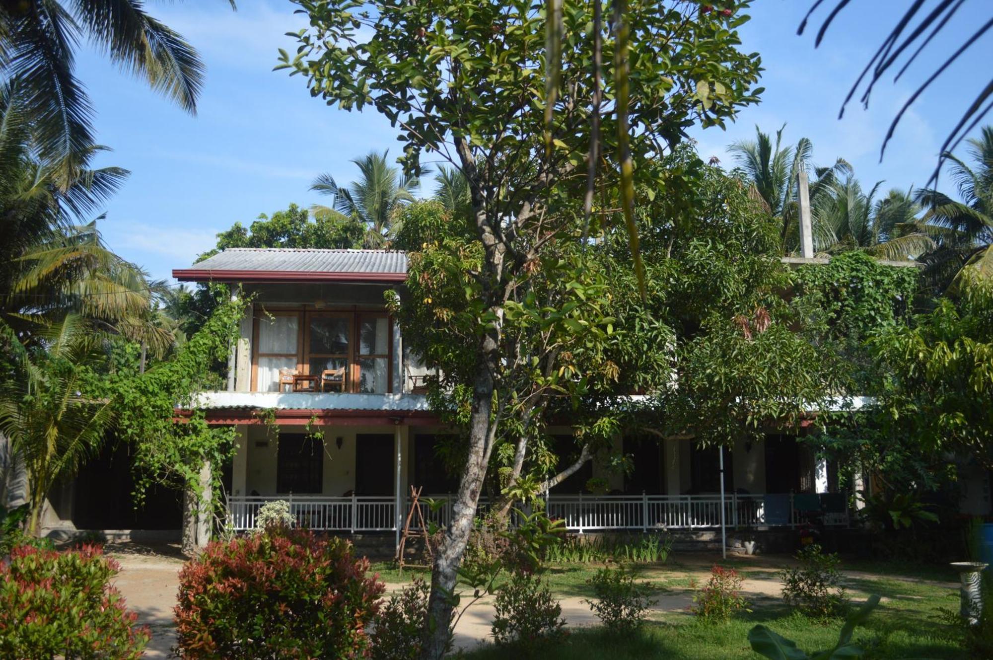 Hotel Coconut Grove - Midigama East Exterior foto