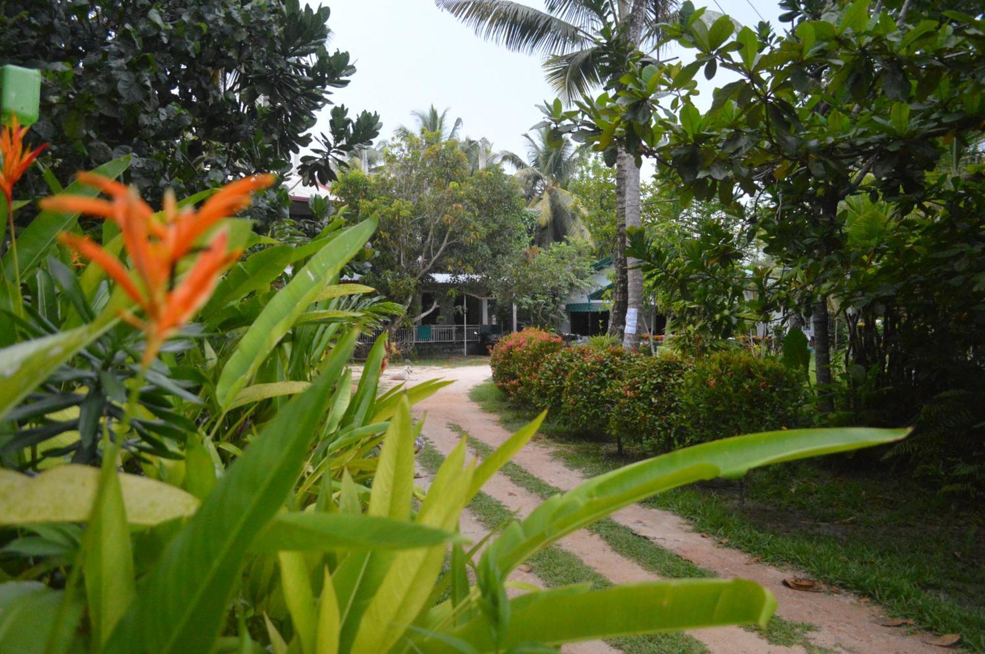 Hotel Coconut Grove - Midigama East Exterior foto