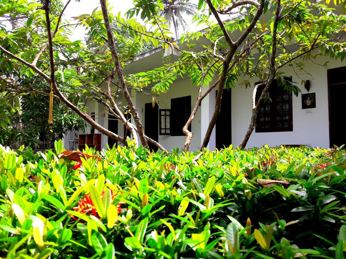 Hotel Coconut Grove - Midigama East Exterior foto