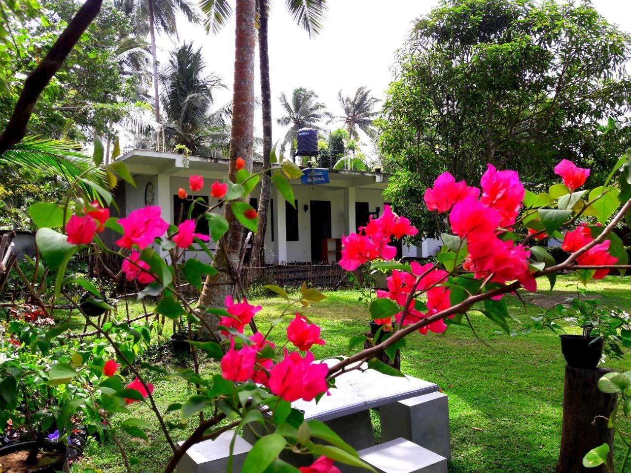 Hotel Coconut Grove - Midigama East Exterior foto